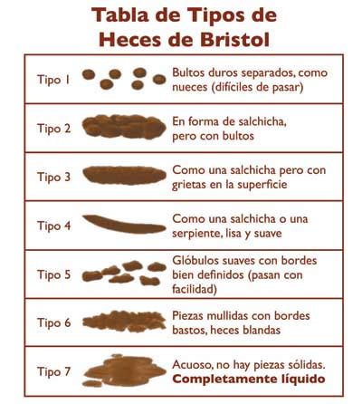 eat poop in spanish